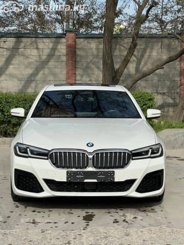 BMW 5 серии VII (G30/G31) Рестайлинг 520i 2.0 AT