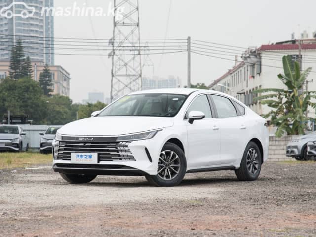 BYD Destroyer 05 1.5hyb AT