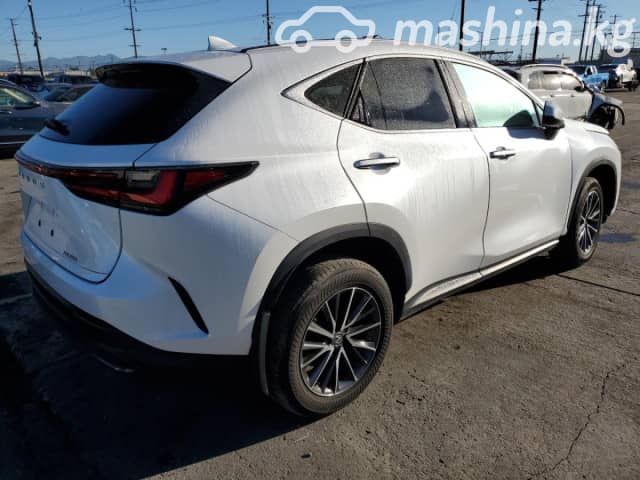 Lexus NX II 250 2.5 AT