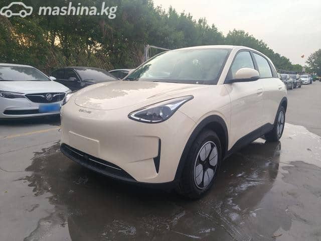 Geely Geome Xingyuan 30.12 kWh Electro AT