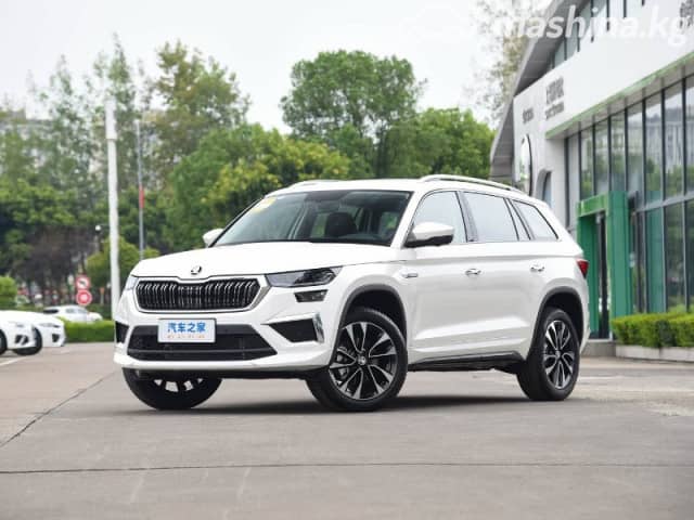 Skoda Kamiq I (China Market) 1.5 AT