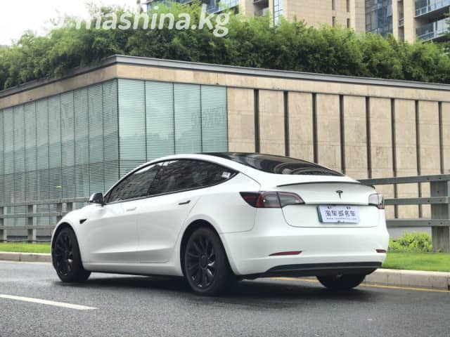 Tesla Model 3 I Long Range Electro AT
