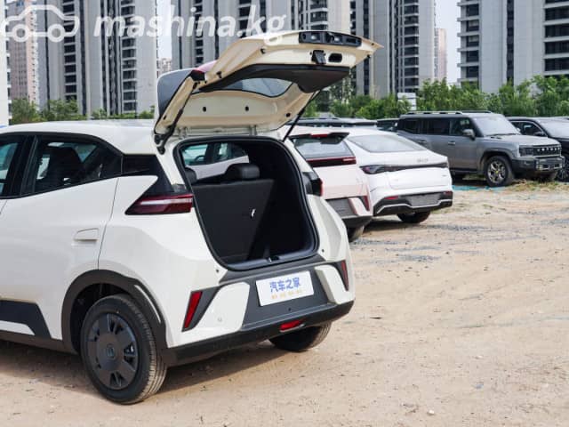 BYD Seagull 30.08 kWh Electro AT