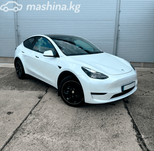 Tesla Model Y I Long Range Electro AT 4WD