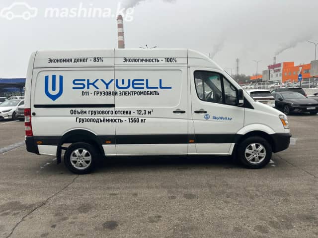Skywell D11
