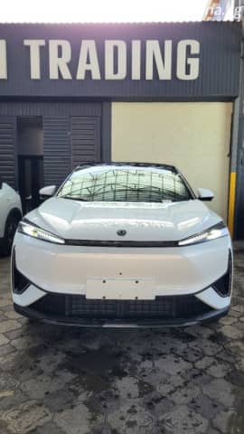 Dongfeng Forthing Thunder Electro AT