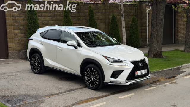 Lexus NX I Рестайлинг 300 2.0 AT 4WD