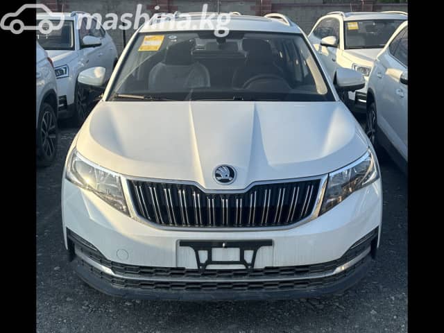 Skoda Kamiq I (China Market) 1.5 AT