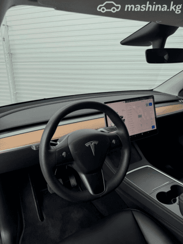 Tesla Model Y I Long Range Electro AT 4WD