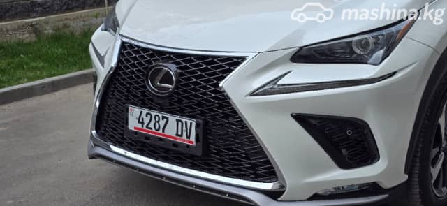 Lexus NX I Рестайлинг 300 2.0 AT