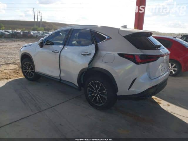 Lexus NX II 250 2.5 AT