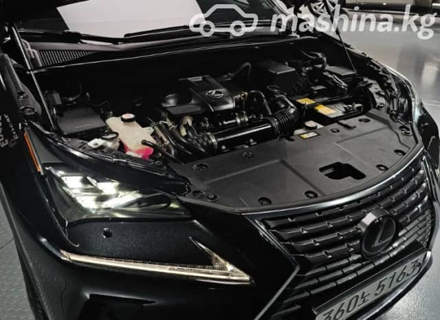 Lexus NX I Рестайлинг 300 2.0 AT 4WD