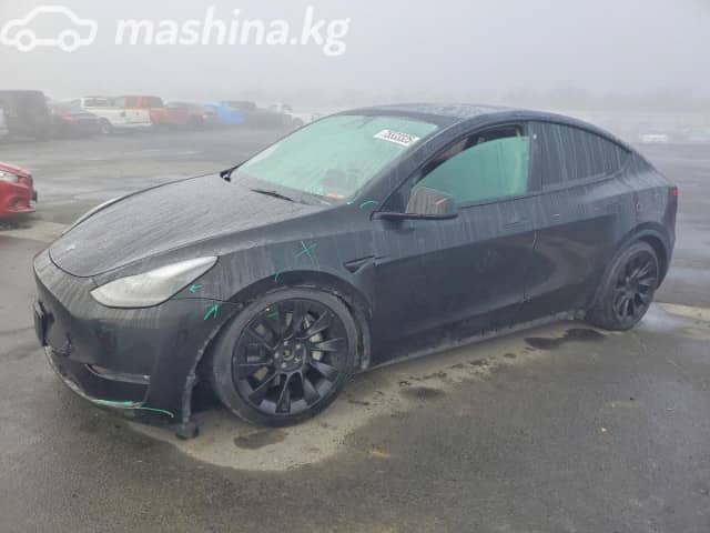 Tesla Model Y I Long Range Electro AT 4WD