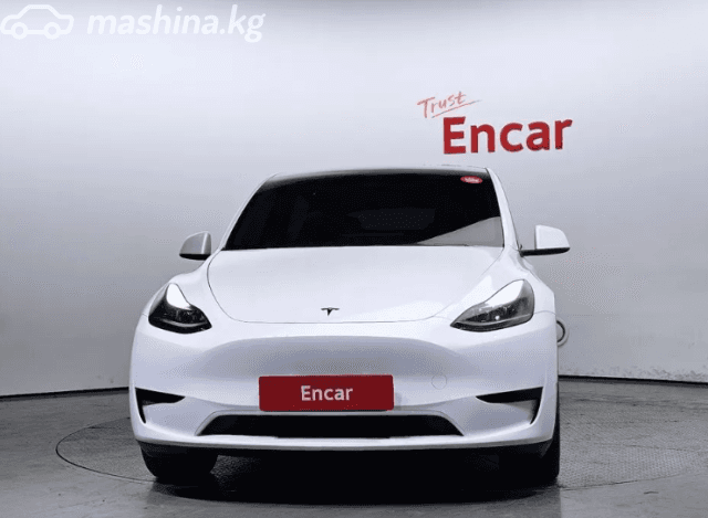 Tesla Model Y I Standard Electro AT