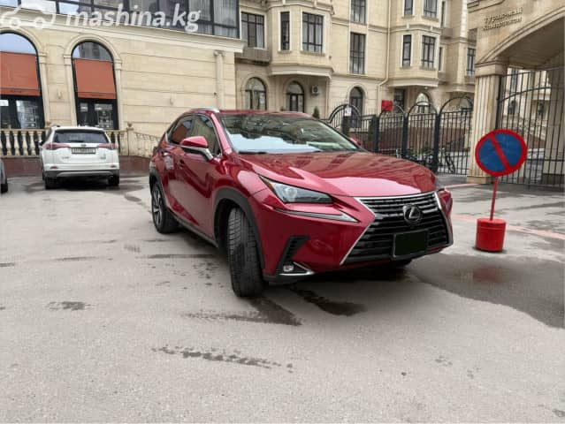 Lexus NX I Рестайлинг 300 2.0 AT 4WD