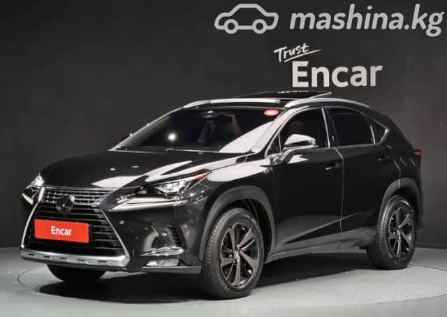 Lexus NX I Рестайлинг 300 2.0 AT 4WD