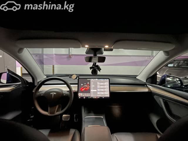 Tesla Model Y I Long Range Electro AT 4WD