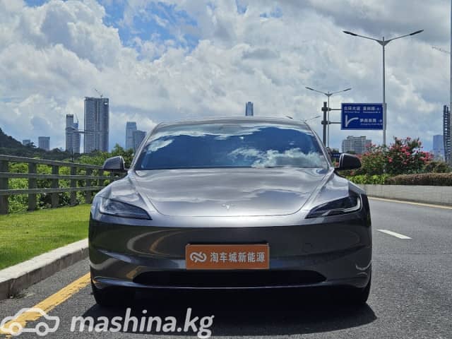 Tesla Model 3 I Long Range Electro AT