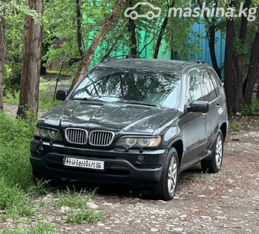 BMW X5 I (E53) 3.0d AT 4WD