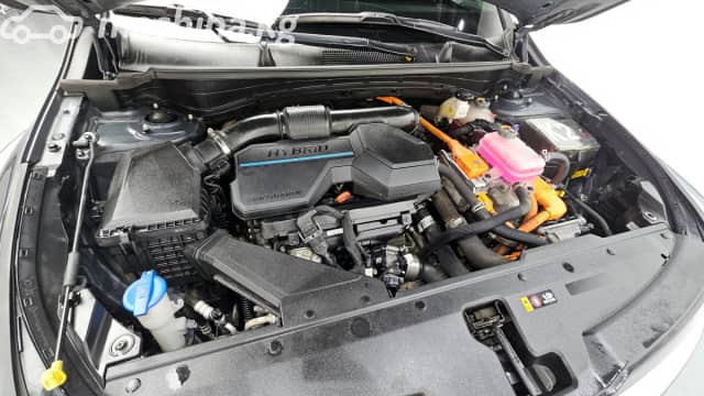 Kia Sportage V SWB 1.6hyb AT