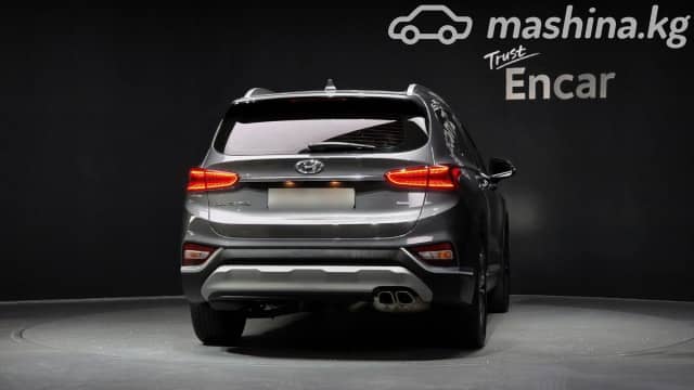 Hyundai Santa Fe IV 2.2d AT 4WD