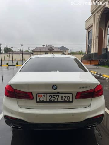 BMW 5 серии VII (G30/G31) 520d 2.0d AT