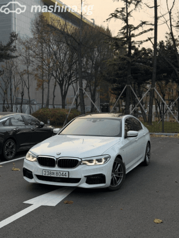 BMW 5 серии VII (G30/G31) 520d xDrive 2.0d AT 4WD