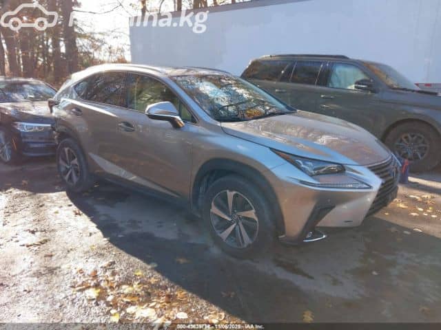 Lexus NX I Рестайлинг 300 2.0 AT 4WD
