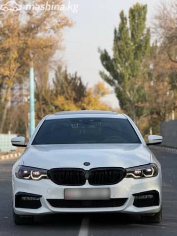 BMW 5 серии VII (G30/G31) 530i xDrive 2.0 AT 4WD