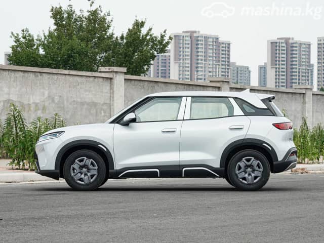 BYD Yuan Up Electro AT 4WD