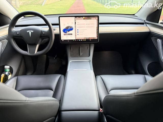 Tesla Model Y I Long Range Electro AT