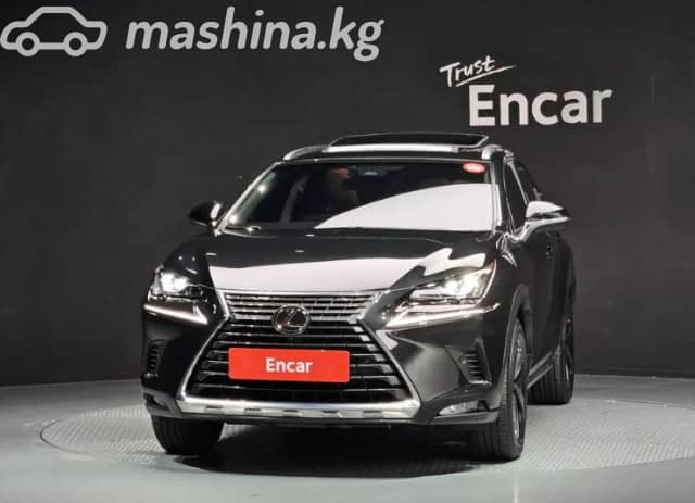 Lexus NX I Рестайлинг 300 2.0 AT 4WD