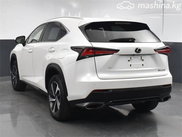 Lexus NX I Рестайлинг 300 2.0 AT 4WD