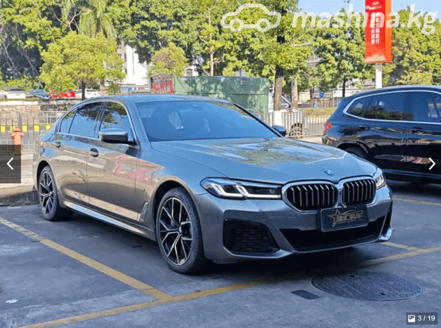 BMW 5 серии VII (G30/G31) Рестайлинг 530Li 2.0 AT
