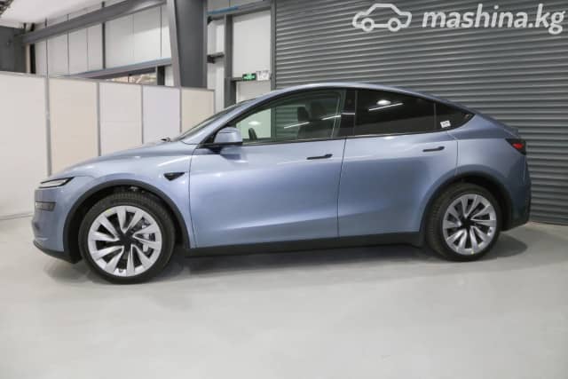 Tesla Model Y I Standard Electro AT