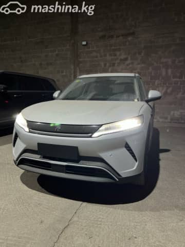 BYD Yuan Up 45.12 kWh Electro AT