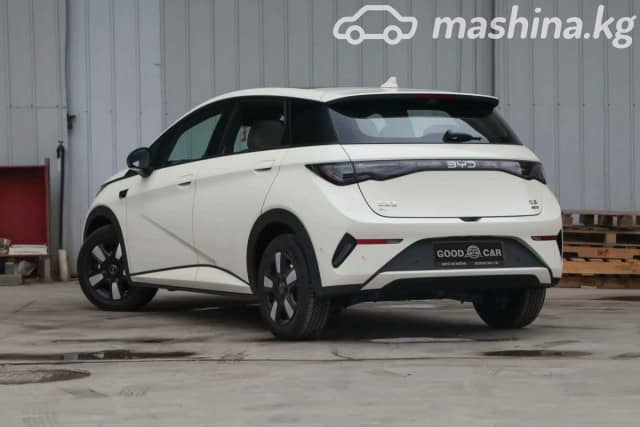 BYD Dolphin Electro AT