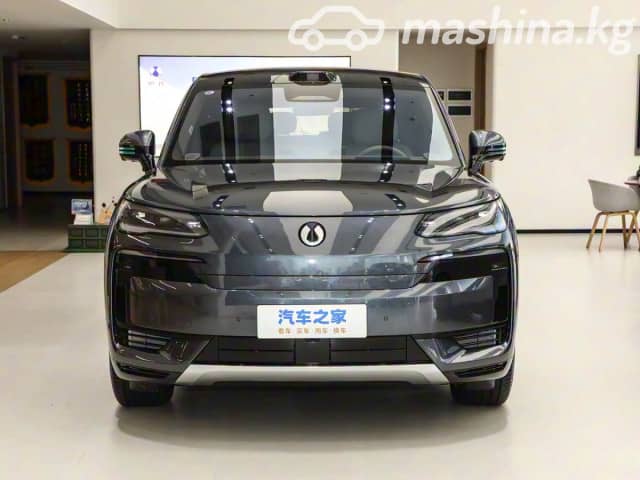 Denza N9 2.0hyb CVT 4WD