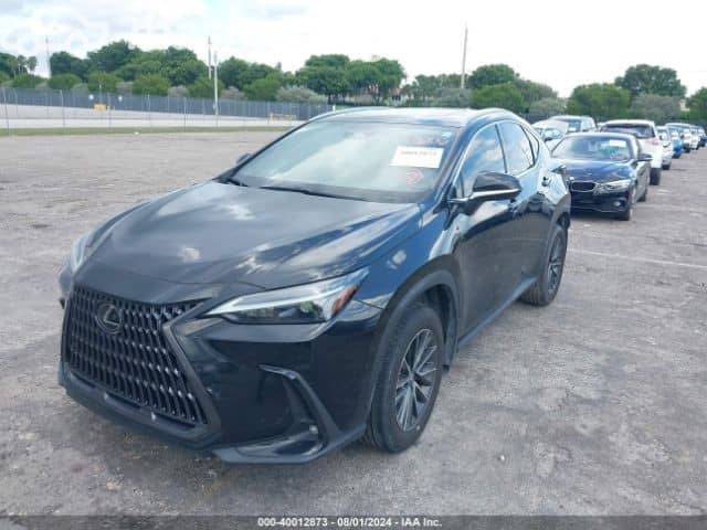 Lexus NX II 250 2.5 AT 4WD