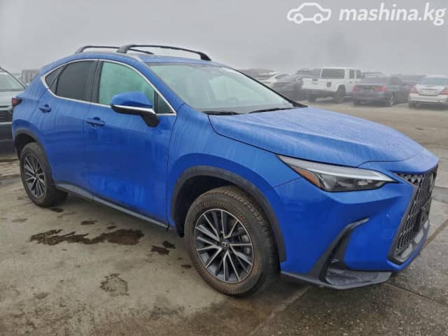 Lexus NX II 250 2.5 AT