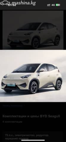 BYD Seagull 38.88 kWh Electro AT