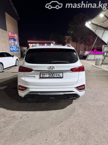 Hyundai Santa Fe IV 2.2d AT 4WD