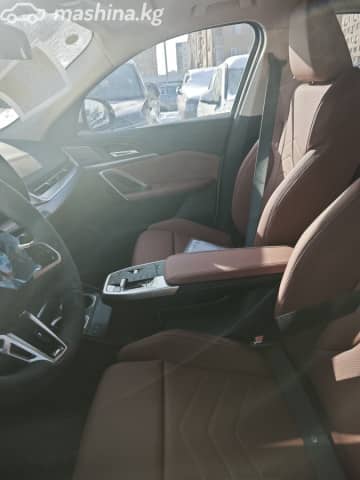 BMW X2 II (U10) xDrive25i 2.0 AMT 4WD