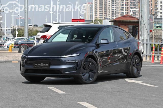 Tesla Model Y I Standard Electro AT
