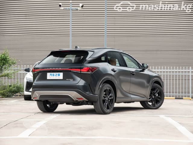 Lexus RX V 300 2.0 AT 4WD