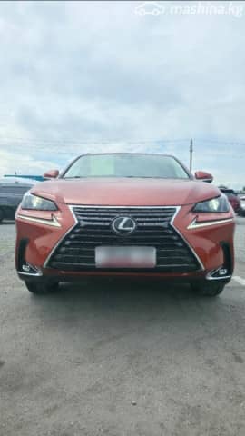 Lexus NX I Рестайлинг 300 2.0 AT 4WD