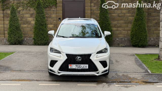 Lexus NX I Рестайлинг 300 2.0 AT 4WD