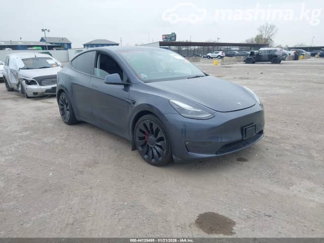 Tesla Model Y I Performance Electro AT 4WD