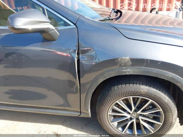 Lexus NX II 250 2.5 AT