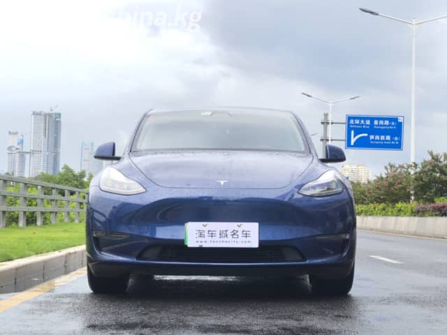 Tesla Model Y I Performance Electro AT 4WD